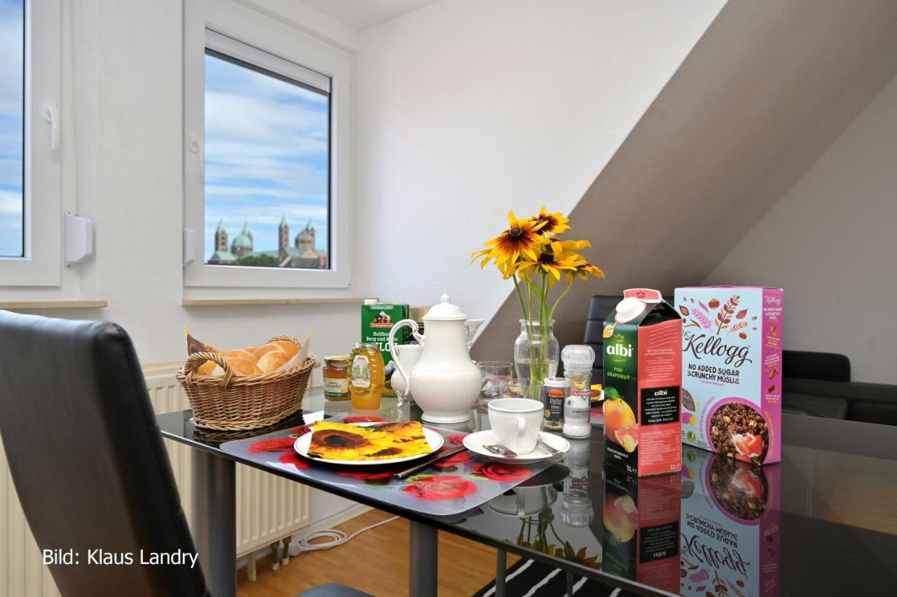 Domizil Domblick Speyer City, Garage, 50M2 المظهر الخارجي الصورة