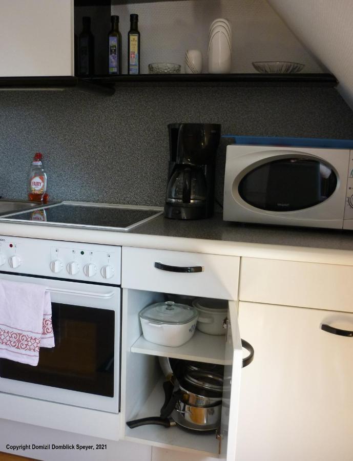 Domizil Domblick Speyer City, Garage, 50M2 المظهر الخارجي الصورة