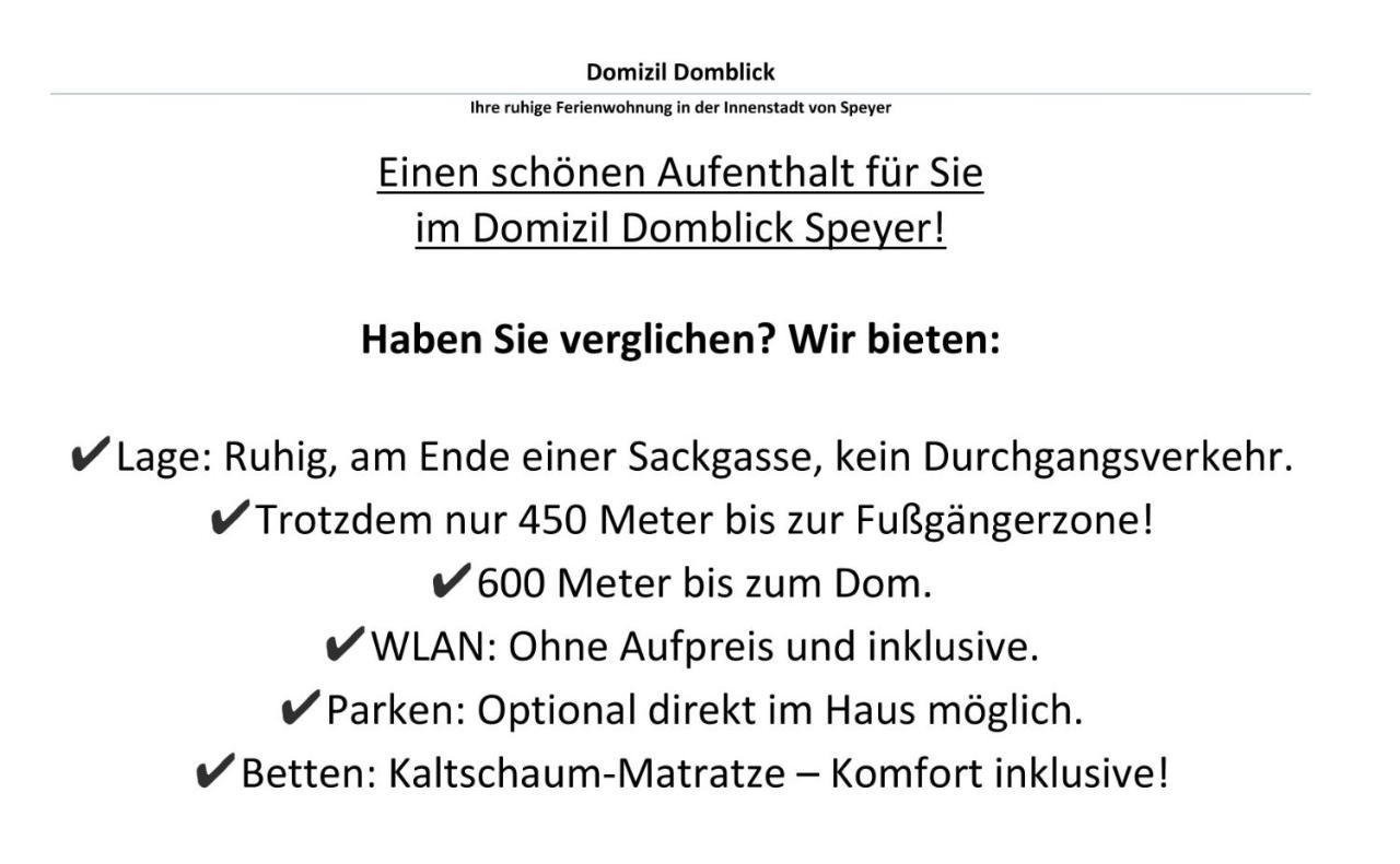 Domizil Domblick Speyer City, Garage, 50M2 المظهر الخارجي الصورة
