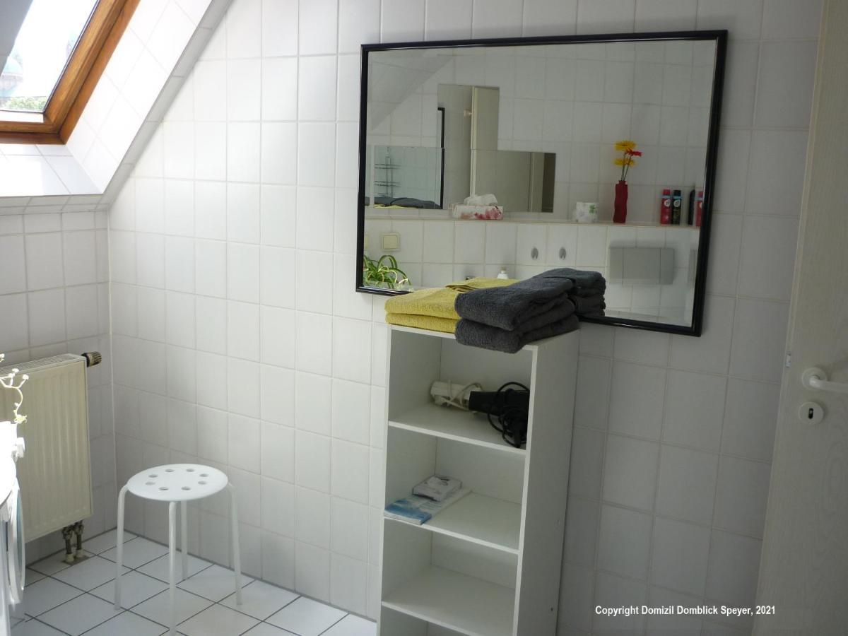 Domizil Domblick Speyer City, Garage, 50M2 المظهر الخارجي الصورة