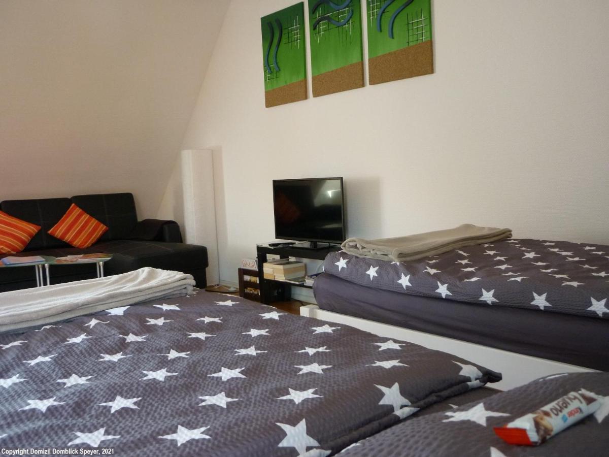 Domizil Domblick Speyer City, Garage, 50M2 المظهر الخارجي الصورة