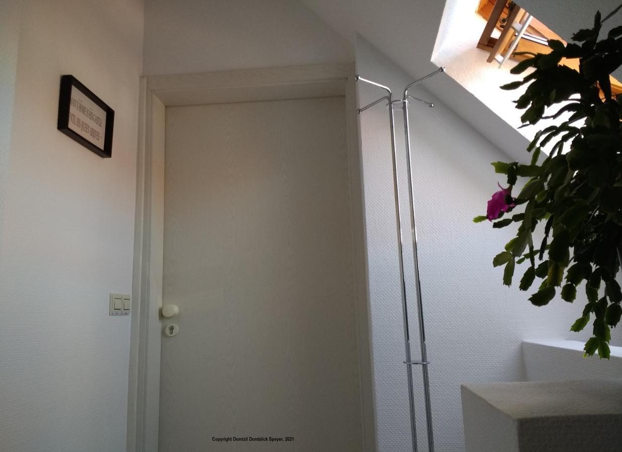 Domizil Domblick Speyer City, Garage, 50M2 المظهر الخارجي الصورة