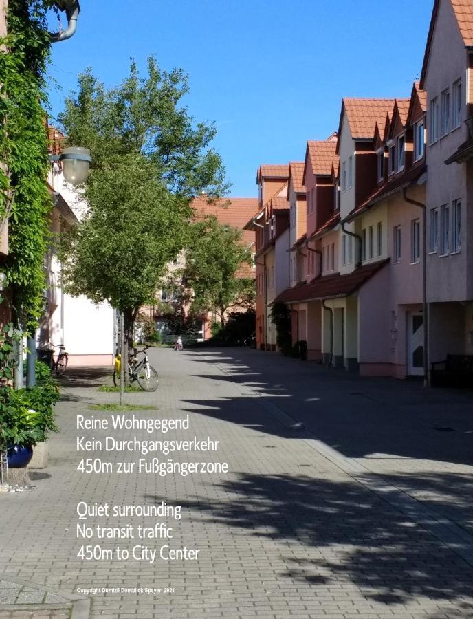 Domizil Domblick Speyer City, Garage, 50M2 المظهر الخارجي الصورة