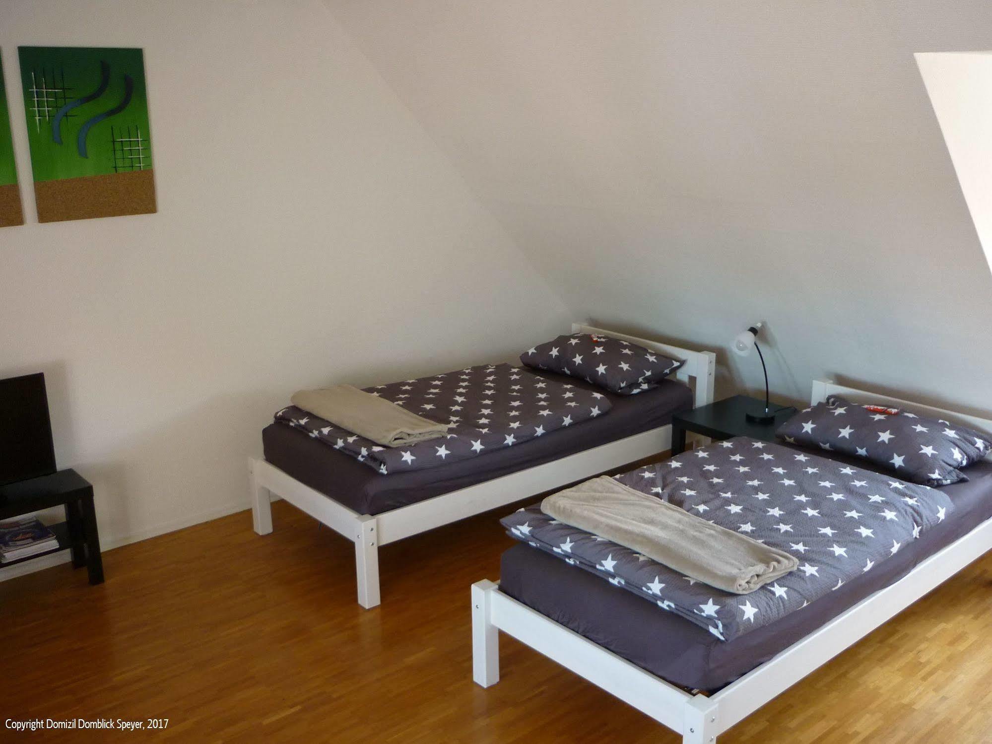 Domizil Domblick Speyer City, Garage, 50M2 المظهر الخارجي الصورة